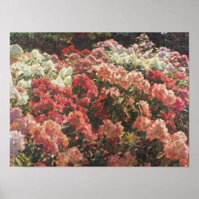 Laurits Tuxen - Rhododendron in Tuxens Garden Poster (Framsidan)