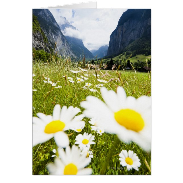 Lauterbrunnen, Schweiz Hälsningskort (Framsidan)