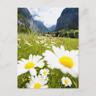 Lauterbrunnen, Schweiz Vykort