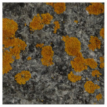 lav på granitfototyg