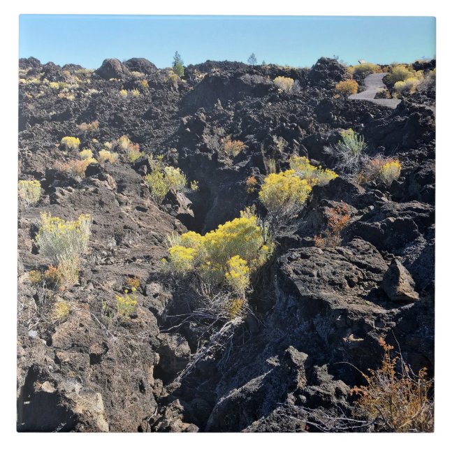 Lava Butte Trail, ELLER Kakelplatta (Framsidan)