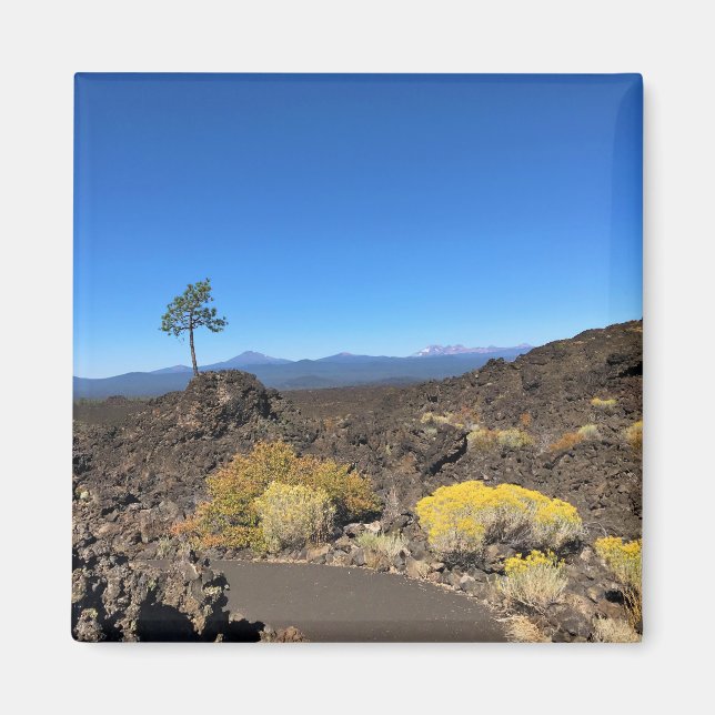 Lava Butte Trail, Oregon Magnet (Framsidan)