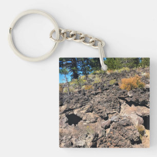 Lava Cast Forest, ELLER