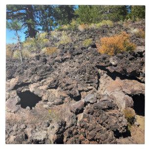 Lava Cast Forest, ELLER Kakelplatta