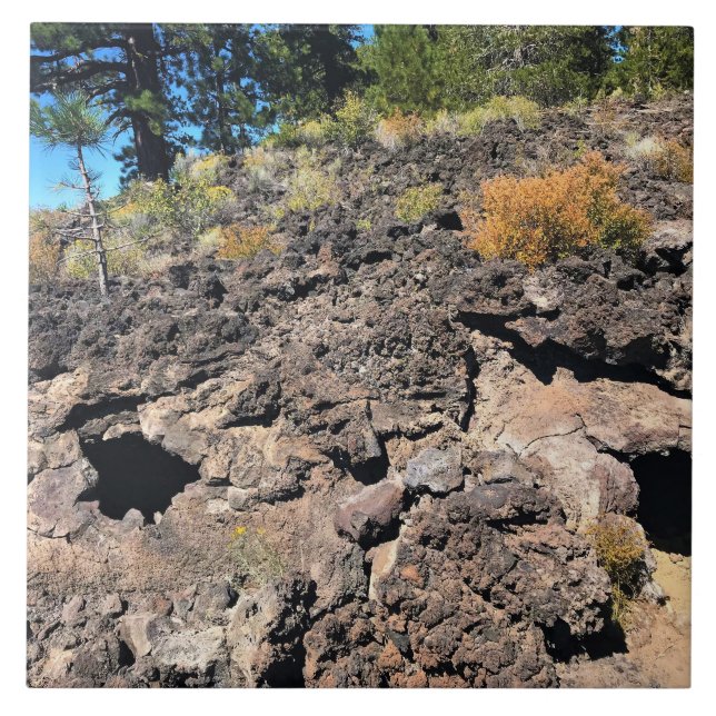 Lava Cast Forest, ELLER Kakelplatta (Framsidan)