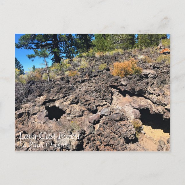Lava Cast Forest, Oregon Vykort (Framsida)