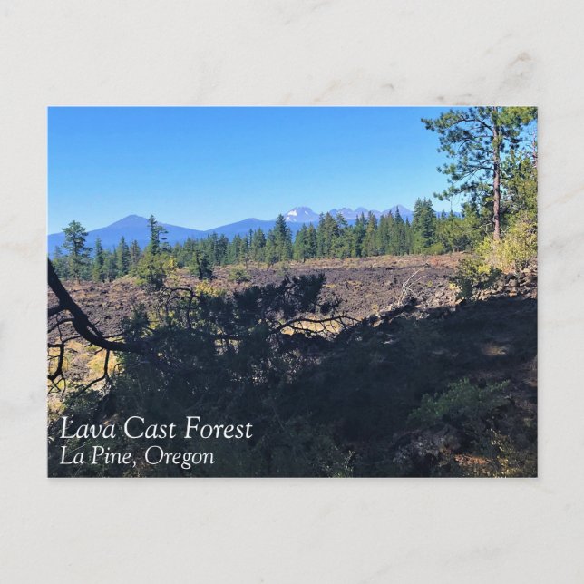 Lava Cast Forest, Oregon Vykort (Framsida)