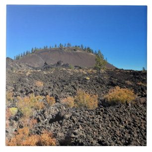 Lava-knapp, ELLER Kakelplatta