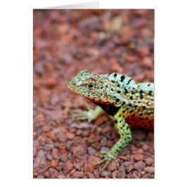 Lava Lizard Hälsningskort