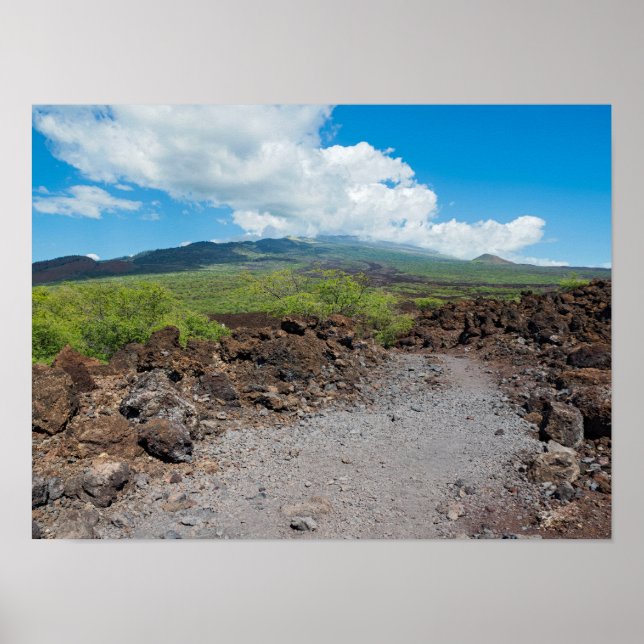 lava och bergslandskap längs hoapili trail poster (Framsidan)