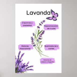 Lavanda y sus Beneos en español Poster