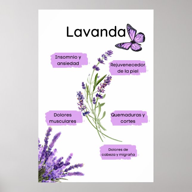 Lavanda y sus Beneos en español Poster (Framsidan)