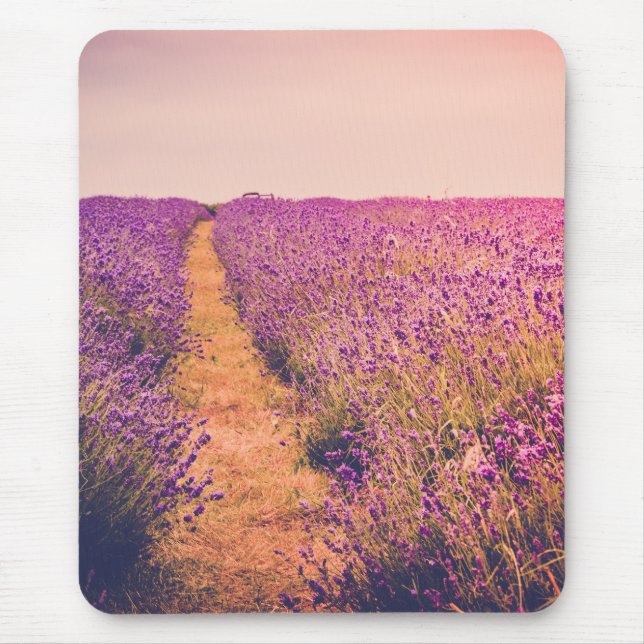 Lavander Musmatta (Framsidan)