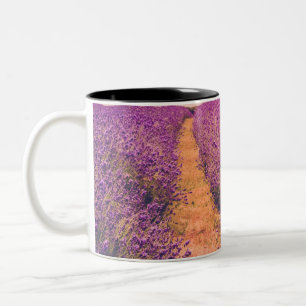 Lavander Två-Tonad Mugg