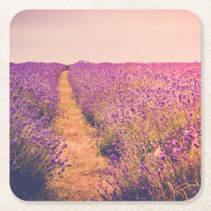 Lavander Underlägg Papper Kvadrat