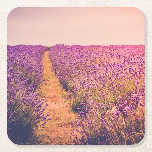 Lavander Underlägg Papper Kvadrat (Framsidan)