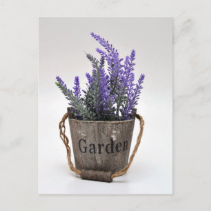 lavander vykort