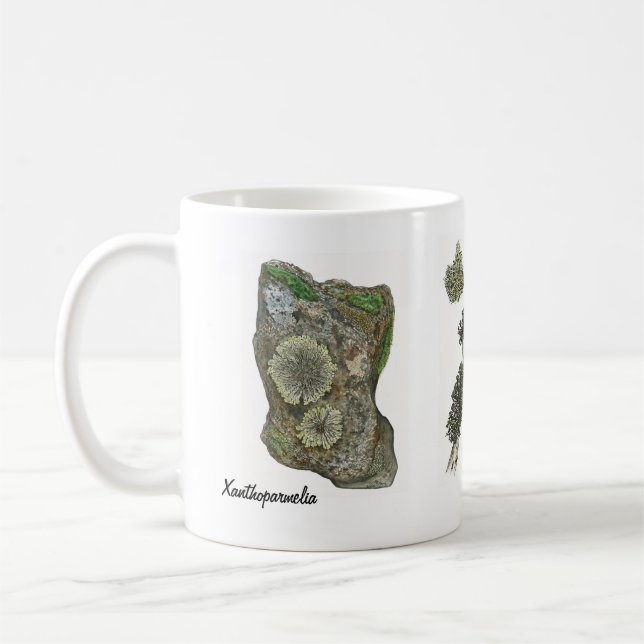 Lavar 2 kaffemugg (Vänster)