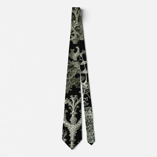 Lavar av Ernst Haeckel, Vintage naturväxter Slips (Framsida)