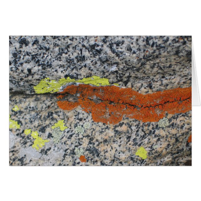 Lavar Sequoianationalpark OBS Kort (Framsidan Horizontal)