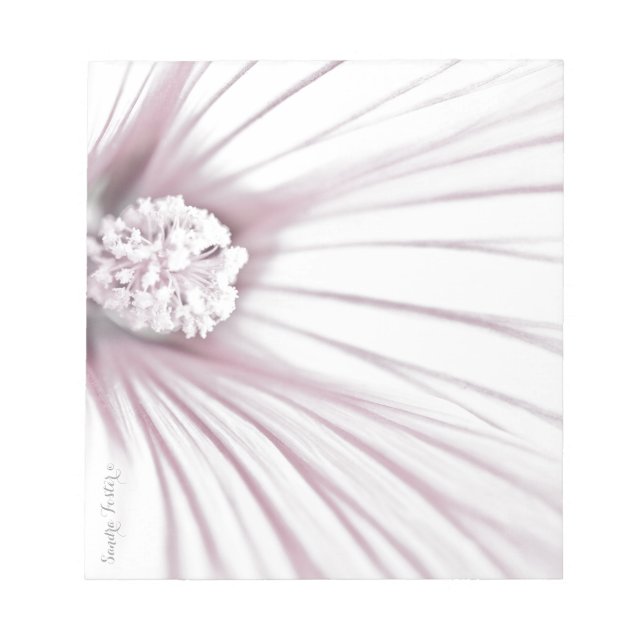 Lavatera Flower Macro Anteckningsblock (Framsida)