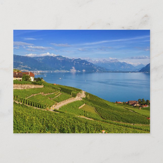 Lavaux-området, Vaud, HDR Vykort (Framsida)