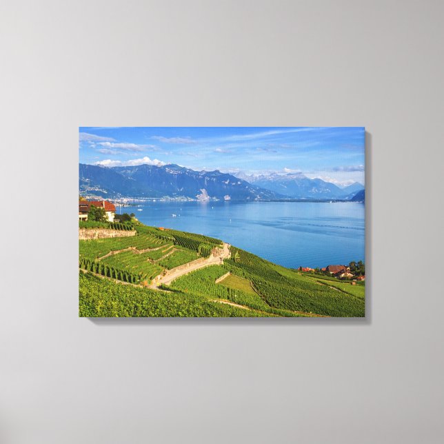 Lavaux-området, Vaud, Schweiz Canvastryck (Framsida)