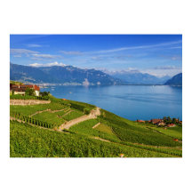 Lavaux-området, Vaud, Schweiz