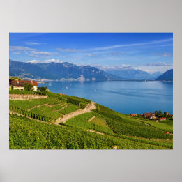Lavaux-området, Vaud, Schweiz Poster