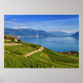 Lavaux-området, Vaud, Schweiz Poster