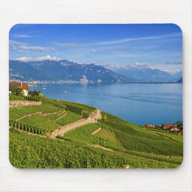 Lavaux region, Vaud, Schweitz Musmatta (Framsidan)