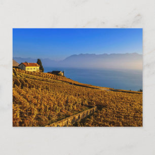 Lavaux region, Vaud, Schweitz Vykort
