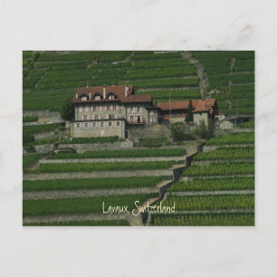 Lavaux, Schweiz Vykort