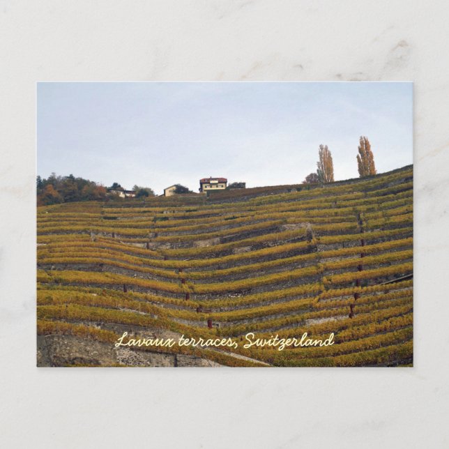 Lavaux terraces vykort (Framsida)