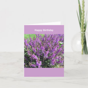 Lavendar blommar födelsedagönskemål kort
