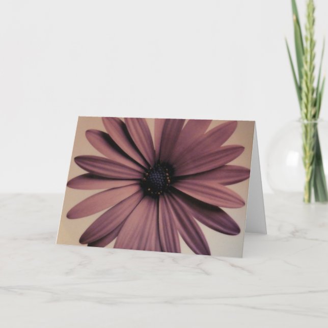 Lavendar daisy kort (Framsida)