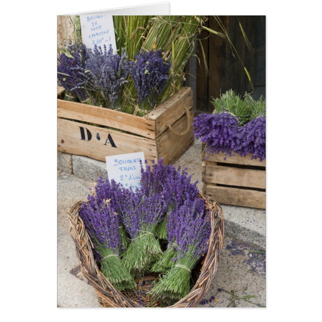 Lavendar for sale, Provence, Frankrike Hälsningskort (Framsidan)