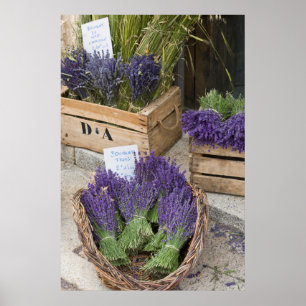 Lavendar for sale, Provence, Frankrike Poster