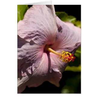Lavendar hibiskus hälsningskort