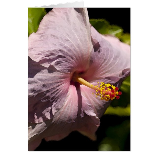 Lavendar hibiskus hälsningskort (Framsidan)