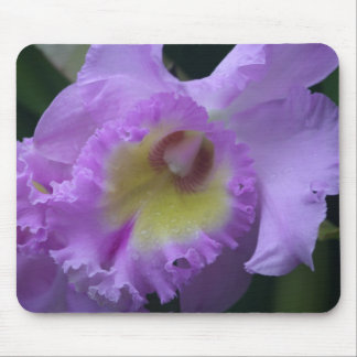 Lavendar Iris Mousepad Musmatta