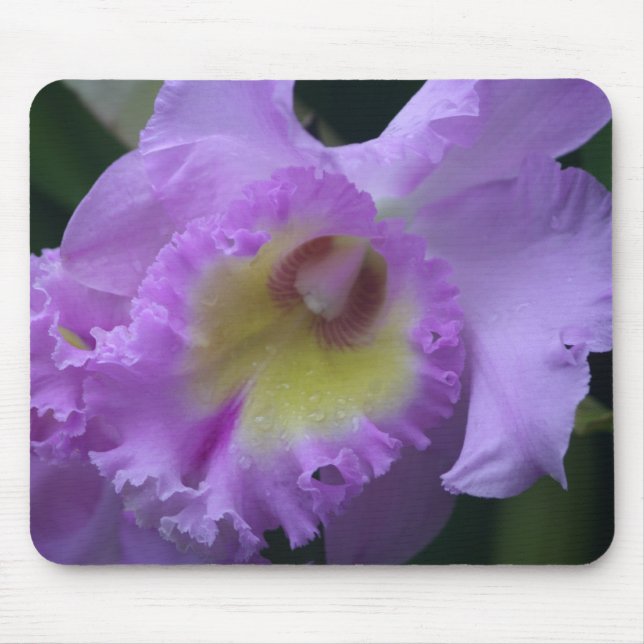 Lavendar Iris Mousepad Musmatta (Framsidan)