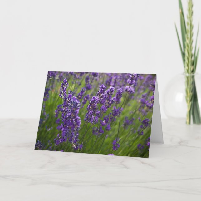 Lavendar | Lavendel Kort (Framsida)