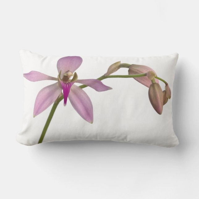 Lavendar Lila Orchid Lumbarkudde (Framsida)