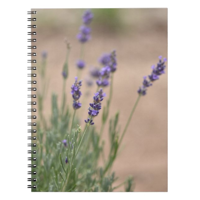 Lavendar Notebook/Journal Anteckningsbok (Framsidan)