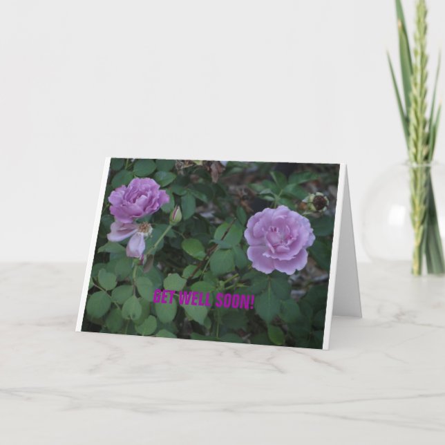 Lavendar Ro/Get well Kort (Framsida)