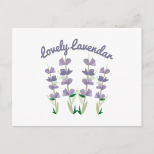 Lavendar Vykort