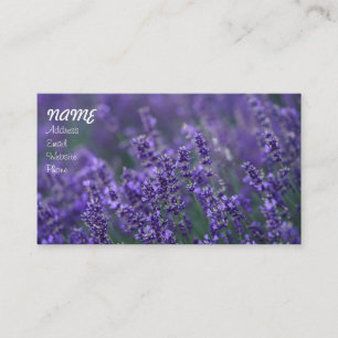 Lavendel 25 visitkort