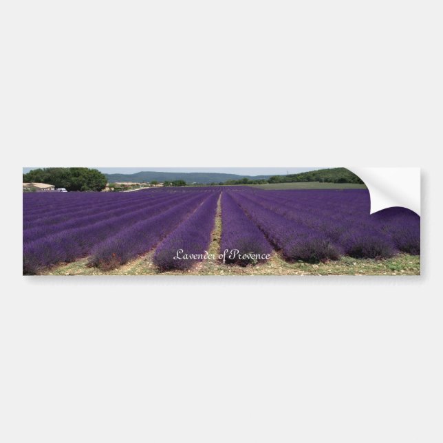 Lavendel av Provence Bildekal (Framsidan)