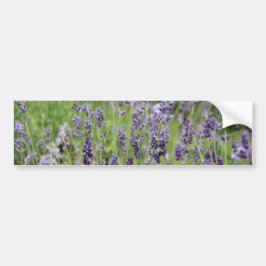 Lavendel Bildekal
